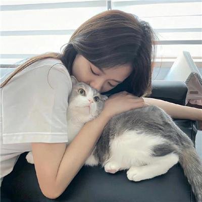憨妻的都市日记 海报