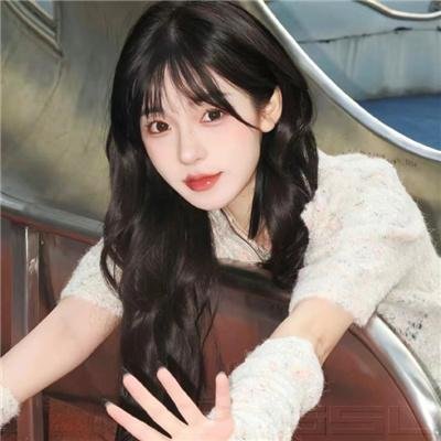 叶问外传：张天志粤语 海报